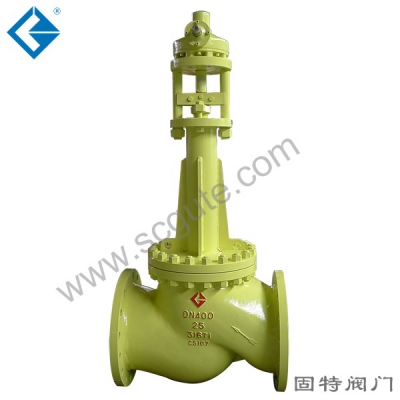 Special valve for chlorine bellows0655